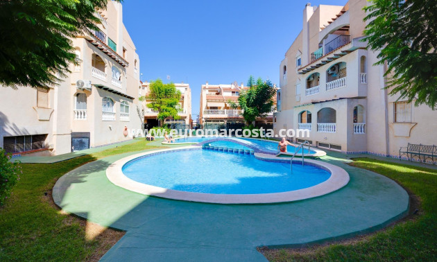 Objekte zum Wiederverkauf - Wohnung - Torrevieja - TORREVIEJA