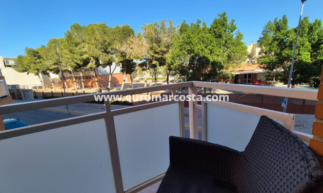 Venta - Apartamento / piso - Los Montesinos - Pueblo 8