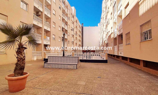Objekte zum Wiederverkauf - Wohnung - Torrevieja - TORREVIEJA