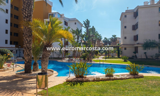 Venta - Apartamento / piso - Orihuela Costa - Costa blanca