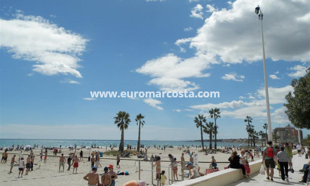 Venta - Adosado - Torrevieja - TORREVIEJA