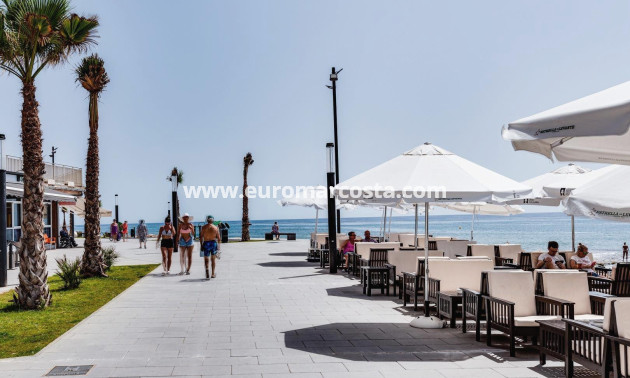 Venta - Adosado - Torrevieja - TORREVIEJA