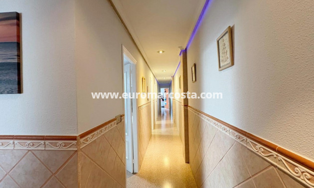 Venta - Apartamento / piso - Los Montesinos