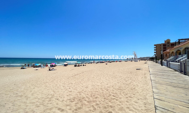 Sale - Ático Dúplex - La Mata