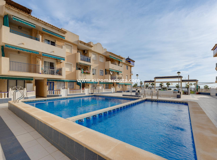 Sale - Apartment / flat - Torrevieja - TORREVIEJA