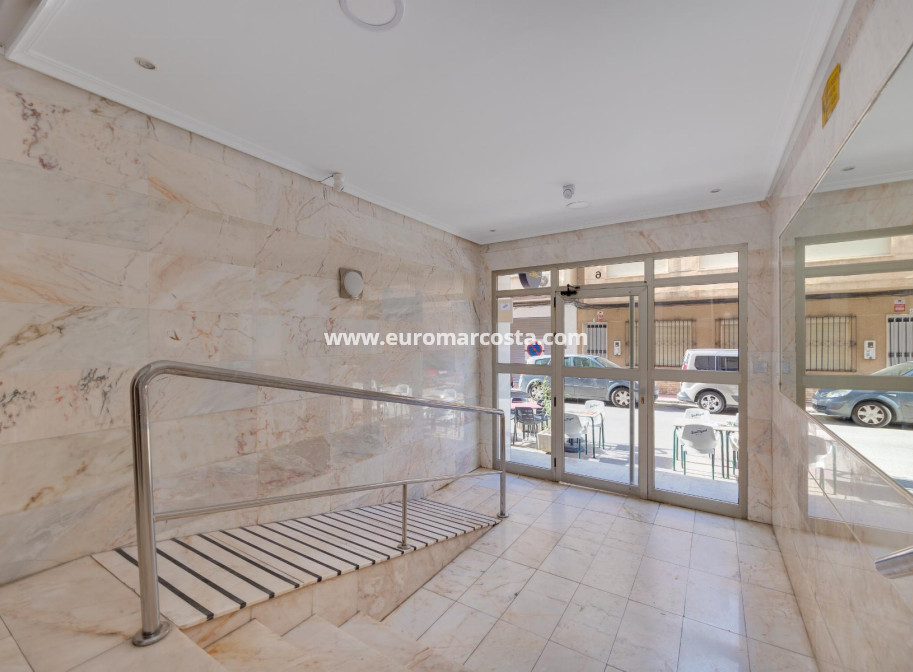 Sale - Apartment / flat - Torrevieja - TORREVIEJA
