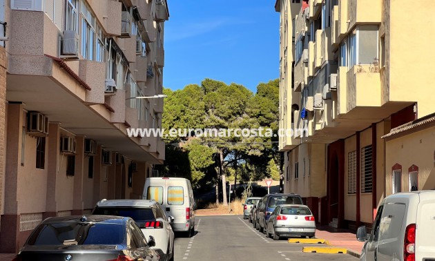 Long time Rental - Apartment / flat - Guardamar del Segura - Guardamar pueblo