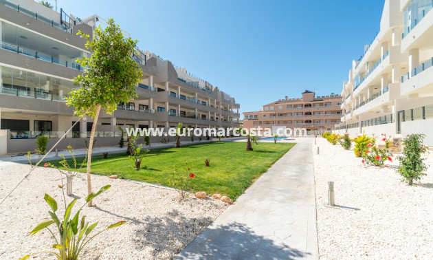 Sale - Apartment / flat - Orihuela Costa