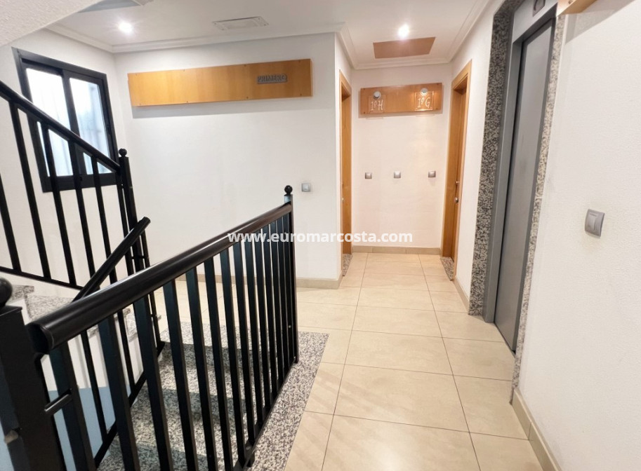 Venta - Apartamento / piso - La Mata