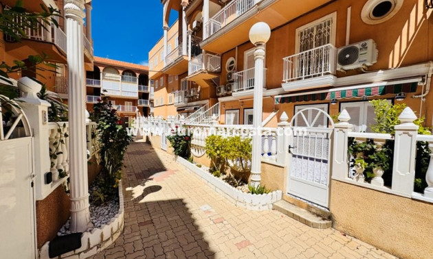 Objekte zum Wiederverkauf - Stadthaus - La Mata