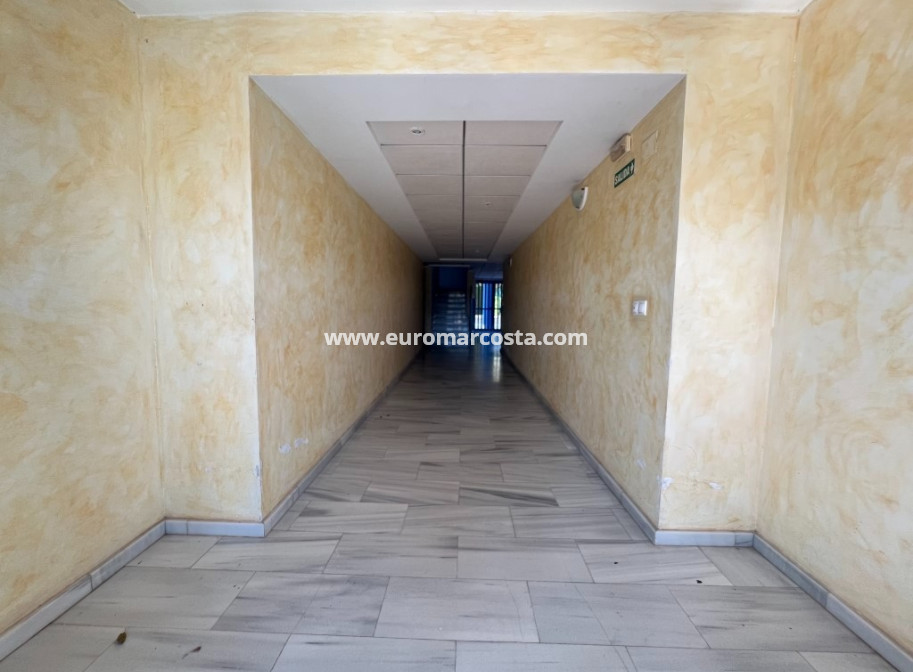 Venta - Apartamento / piso - Guardamar del Segura - Guardamar