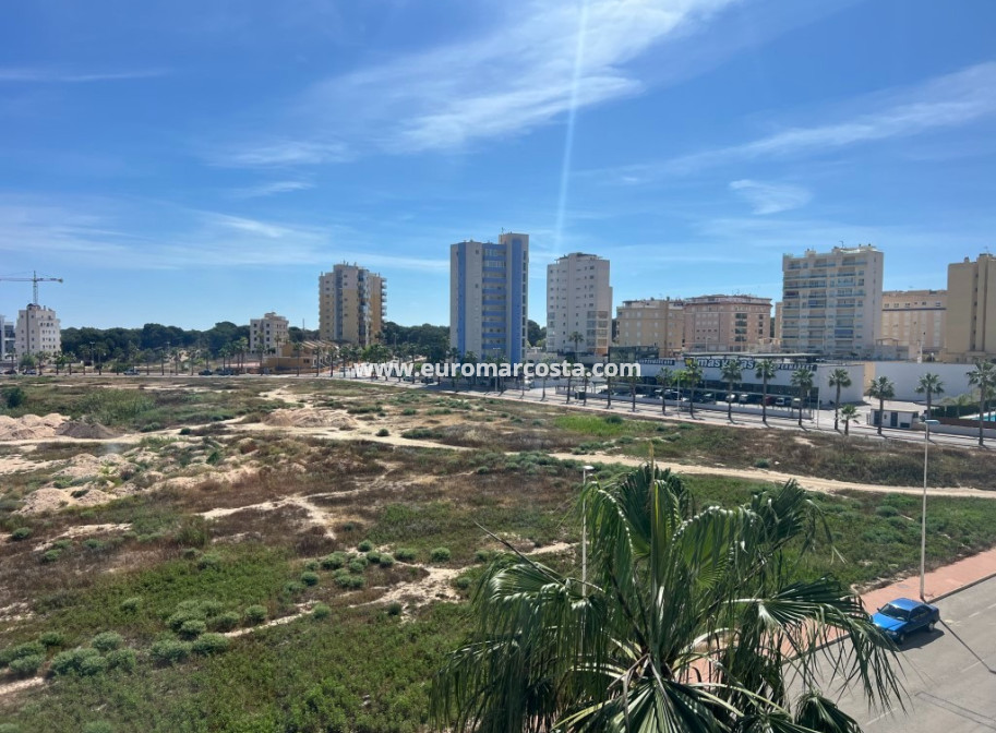 Venta - Apartamento / piso - Guardamar del Segura - Guardamar