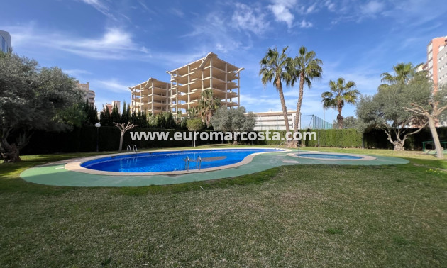 Venta - Apartamento / piso - Guardamar del Segura - Guardamar