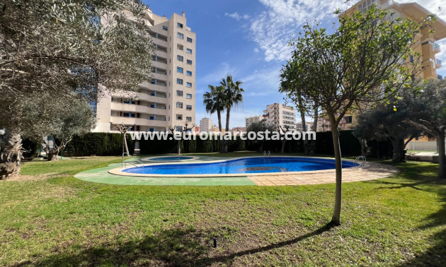 Venta - Apartamento / piso - Guardamar del Segura - Guardamar