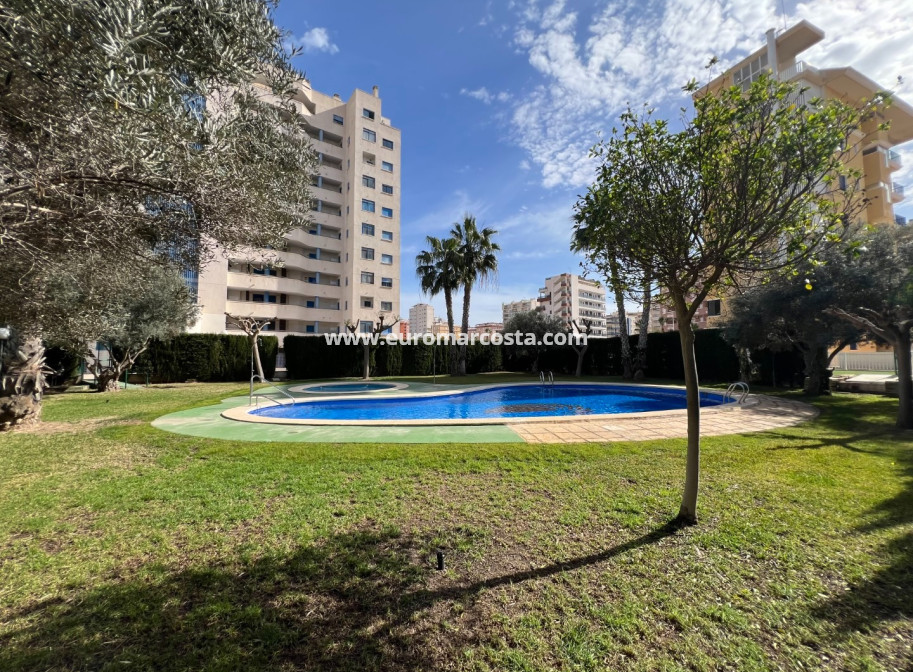 Venta - Apartamento / piso - Guardamar del Segura - Guardamar