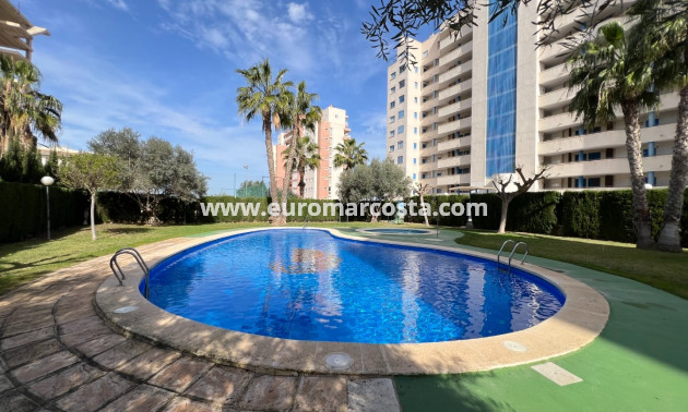 Venta - Apartamento / piso - Guardamar del Segura - Guardamar