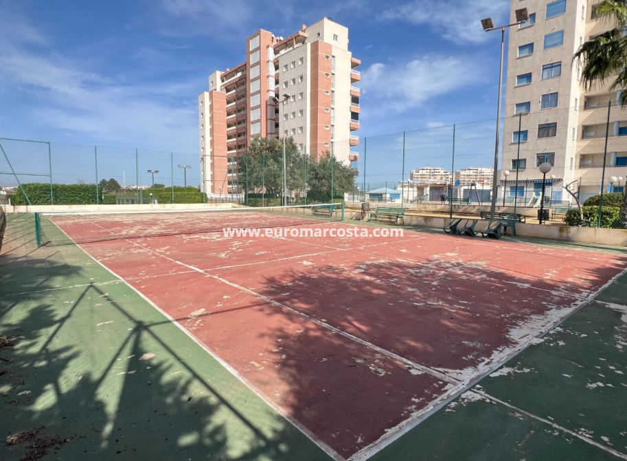 Venta - Apartamento / piso - Guardamar del Segura - Guardamar
