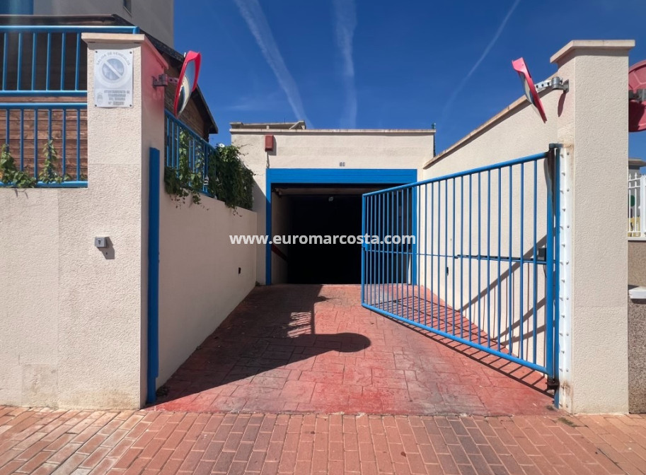 Venta - Apartamento / piso - Guardamar del Segura - Guardamar
