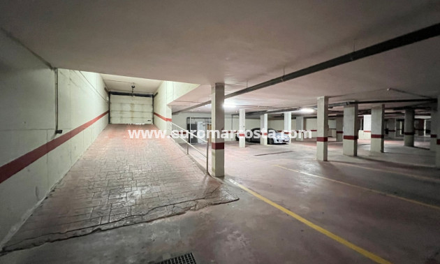 Venta - Apartamento / piso - Guardamar del Segura - Guardamar