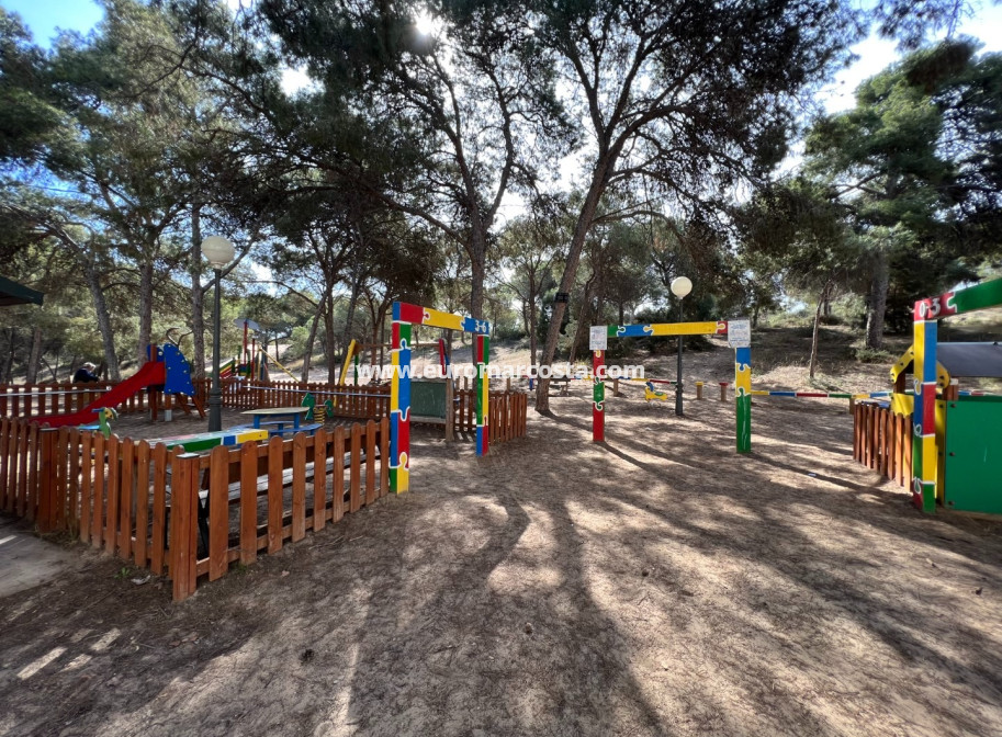 Venta - Apartamento / piso - Guardamar del Segura - Guardamar