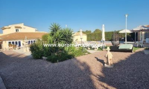 Sale - Villa - Orihuela Costa - TORREVIEJA
