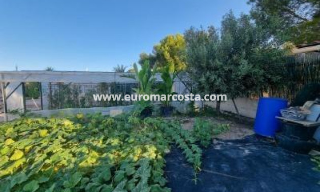 Sale - Villa - Orihuela Costa - TORREVIEJA