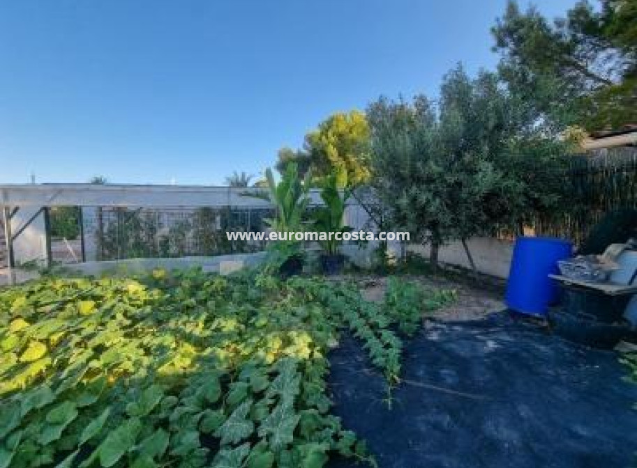 Sale - Villa - Orihuela Costa - TORREVIEJA