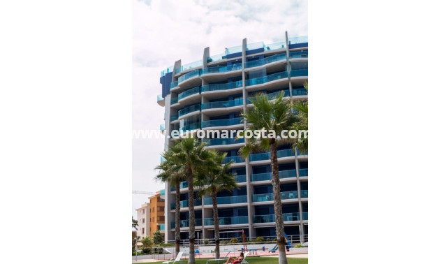 Objekte zum Wiederverkauf - Wohnung - Torrevieja - Orihuela Costa