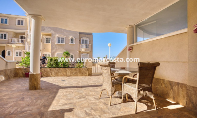 Sale - Apartment / flat - Guardamar del Segura - moncayo