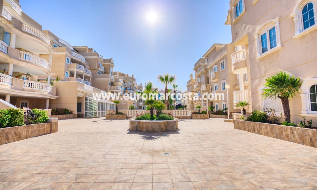 Sale - Apartment / flat - Guardamar del Segura - moncayo