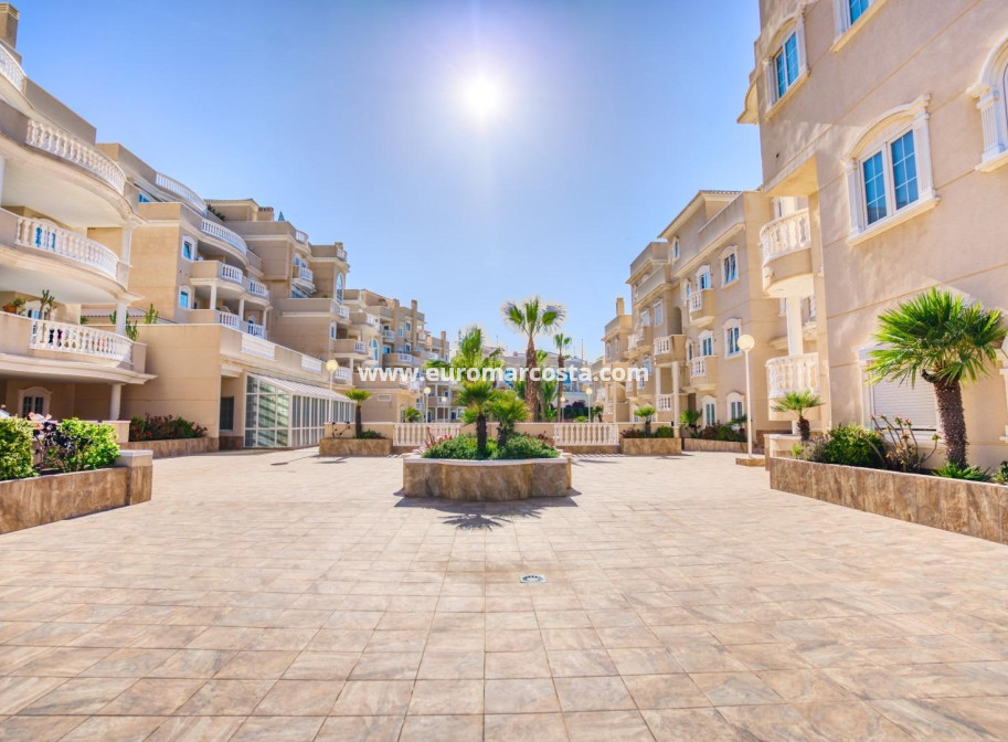Sale - Apartment / flat - Guardamar del Segura - moncayo
