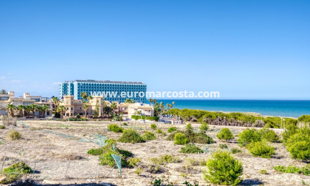 Sale - Apartment / flat - Guardamar del Segura - moncayo