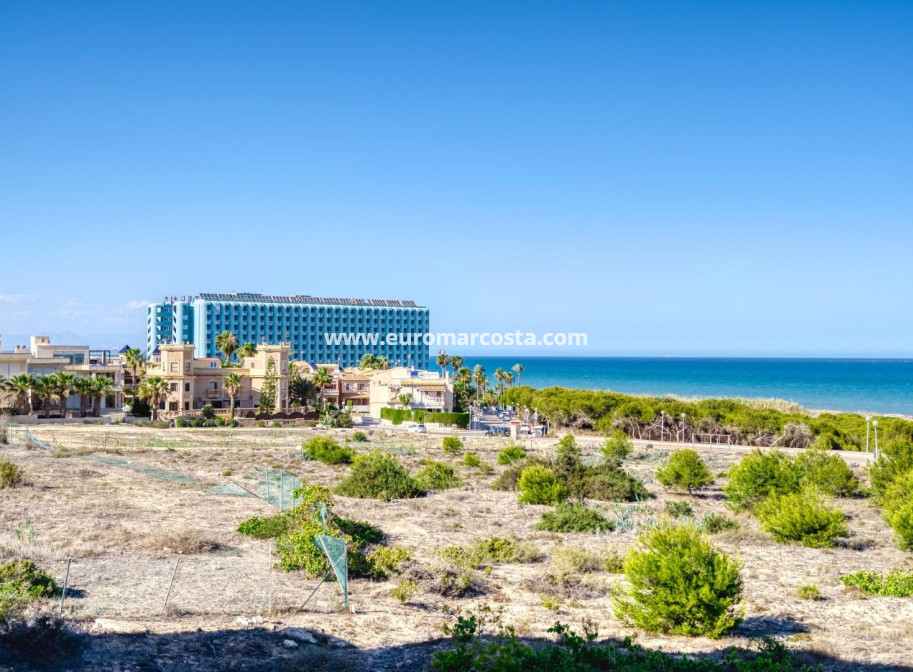 Sale - Apartment / flat - Guardamar del Segura - moncayo