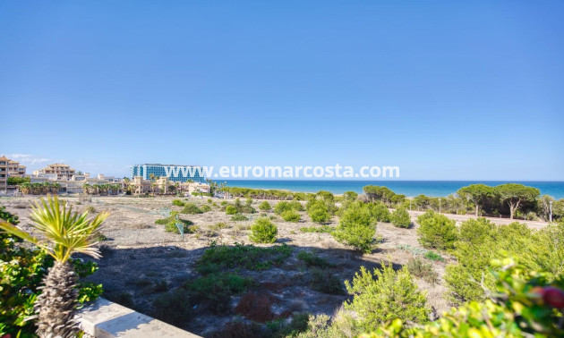 Sale - Apartment / flat - Guardamar del Segura - moncayo