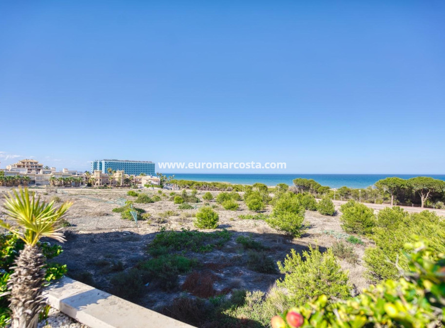 Sale - Apartment / flat - Guardamar del Segura - moncayo