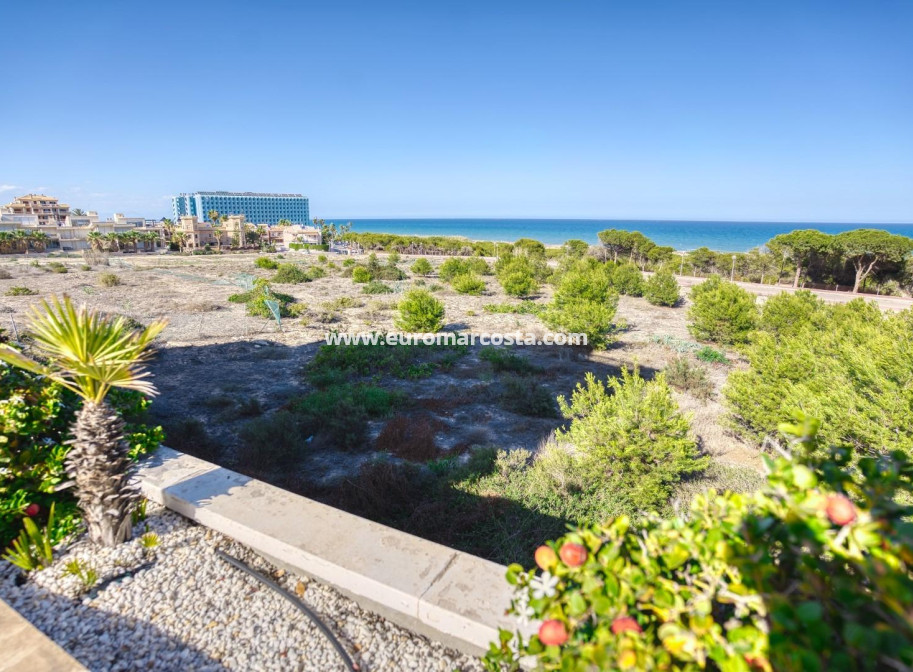 Sale - Apartment / flat - Guardamar del Segura - moncayo