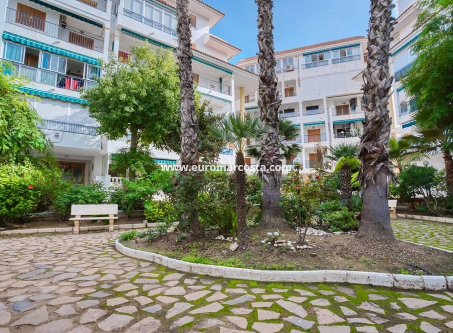 Objekte zum Wiederverkauf - Wohnung - Torrevieja - La Mata