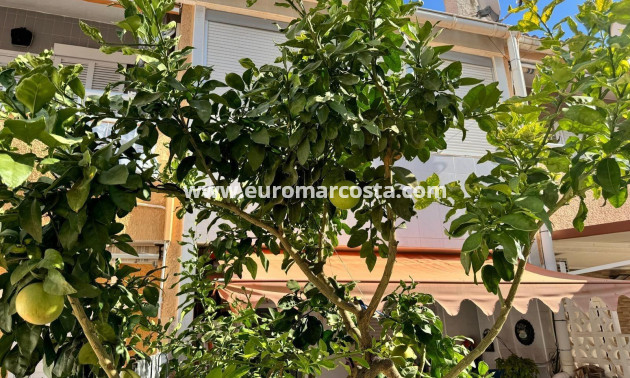 Objekte zum Wiederverkauf - Stadthaus - Torrevieja - TORREVIEJA