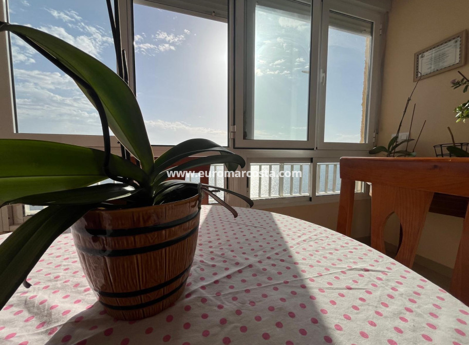 Venta - Apartamento / piso - Torrevieja - TORREVIEJA