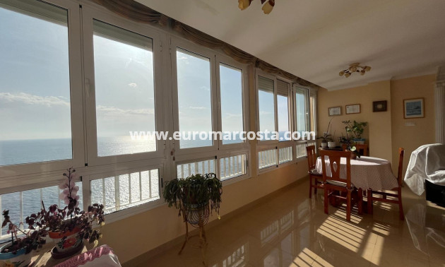 Venta - Apartamento / piso - Torrevieja - TORREVIEJA