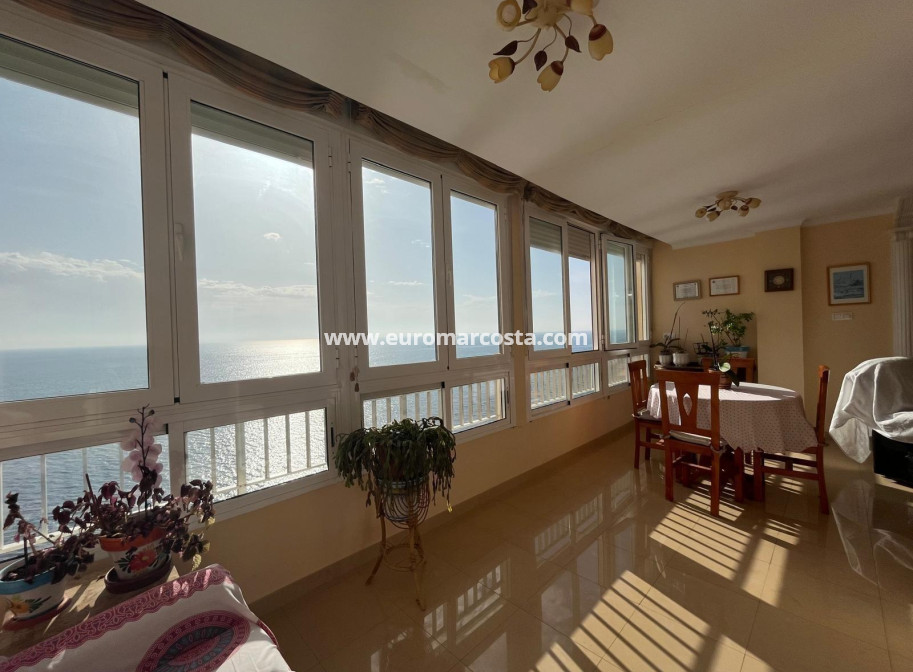 Venta - Apartamento / piso - Torrevieja - TORREVIEJA