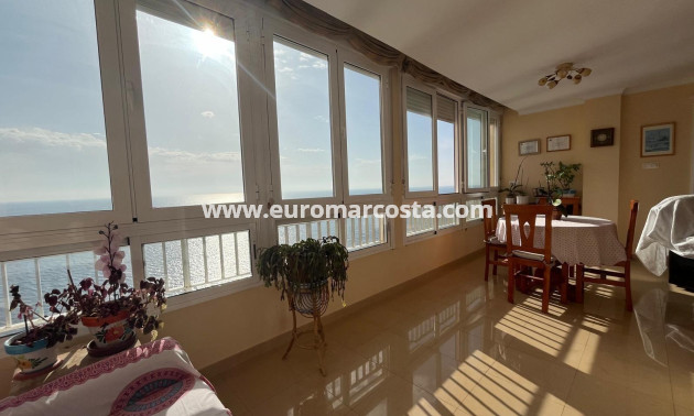Venta - Apartamento / piso - Torrevieja - TORREVIEJA