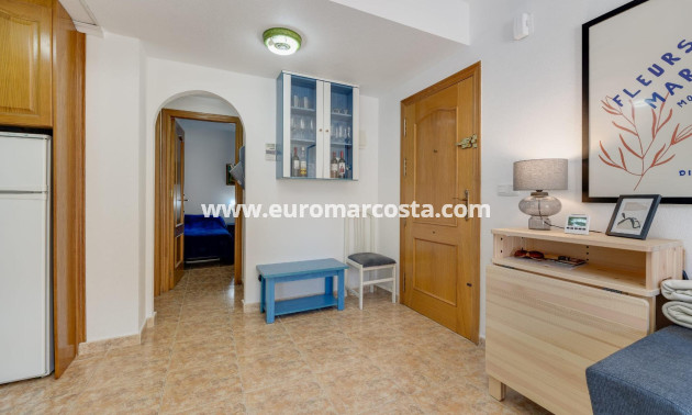 Sale - Apartment / flat - Torrevieja - TORREVIEJA