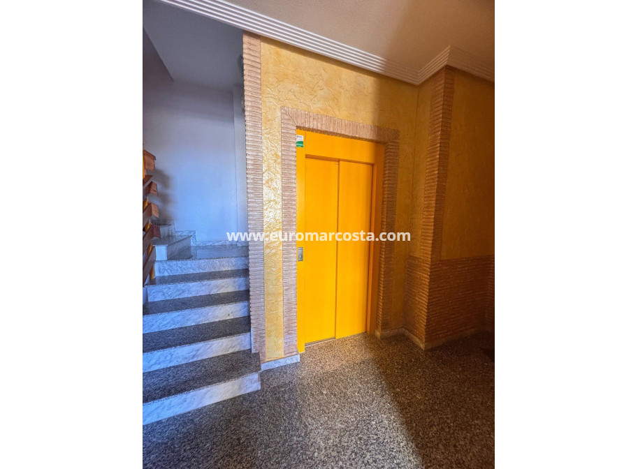 Objekte zum Wiederverkauf - Wohnung - Torrevieja - TORREVIEJA