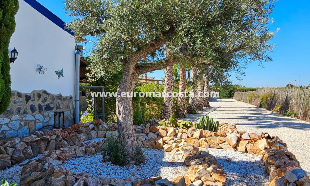 Objekte zum Wiederverkauf - Landhaus - Crevillent - Comunidad valenciana