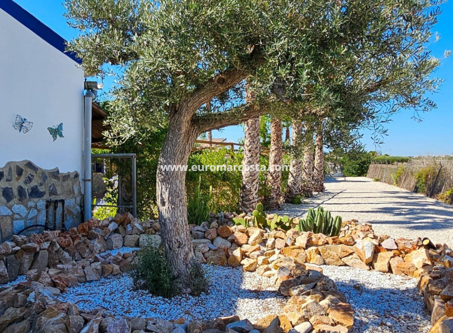Objekte zum Wiederverkauf - Landhaus - Crevillent - Comunidad valenciana