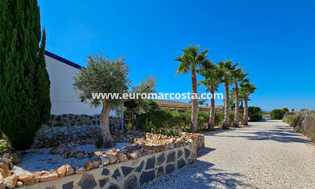 Objekte zum Wiederverkauf - Landhaus - Crevillent - Comunidad valenciana