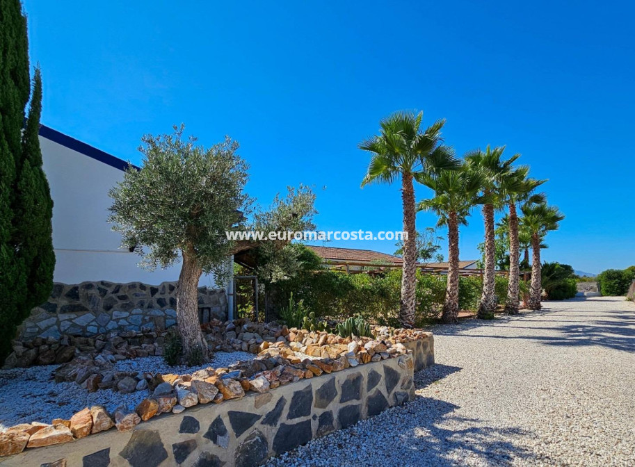 Objekte zum Wiederverkauf - Landhaus - Crevillent - Comunidad valenciana