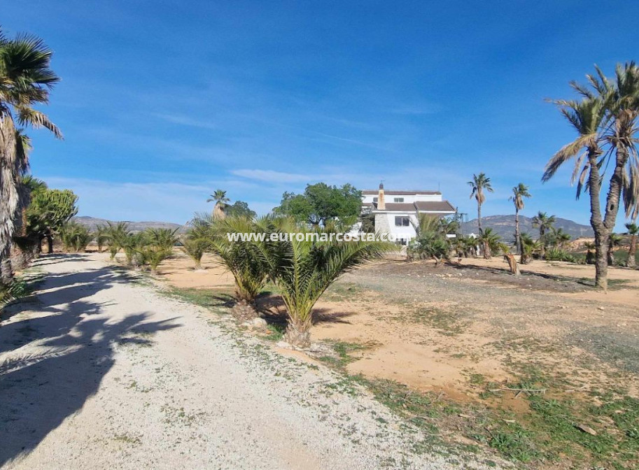 Venta - Villa - Cieza - Murcia