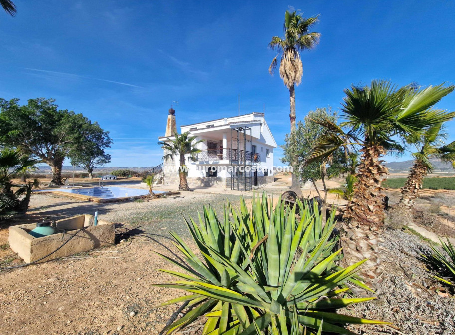 Venta - Villa - Cieza - Murcia